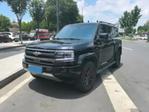 BYD LEOPARD 5