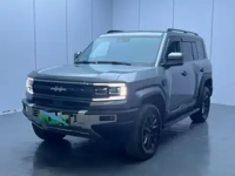 BYD LEOPARD 5