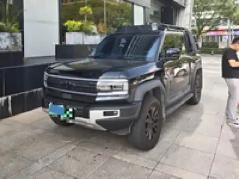 BYD LEOPARD 5