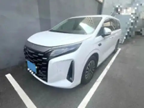 BYD XIA