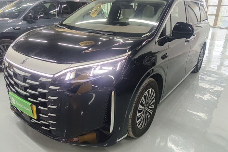 BYD XIA