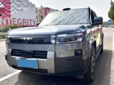 BYD LEOPARD LEOPARD 7