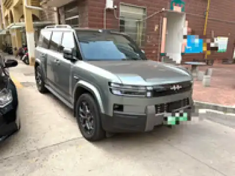 BYD LEOPARD LEOPARD 7
