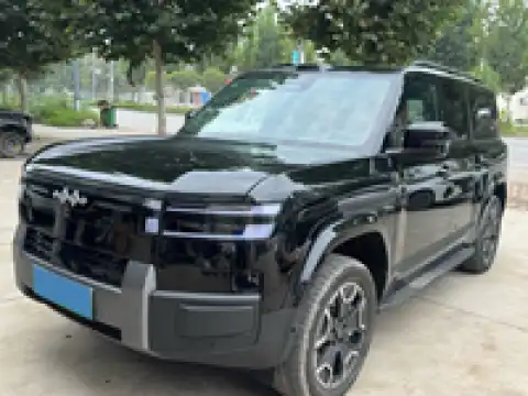 BYD LEOPARD LEOPARD 7