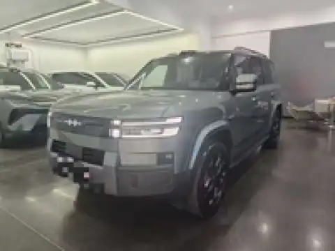 BYD LEOPARD LEOPARD 7