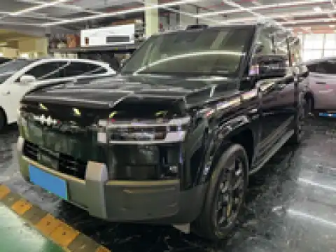 BYD LEOPARD LEOPARD 7