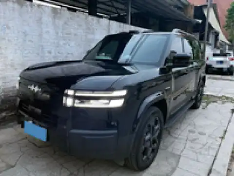 BYD LEOPARD LEOPARD 7