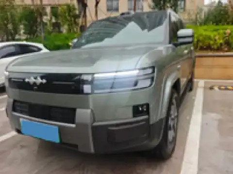 BYD LEOPARD LEOPARD 7