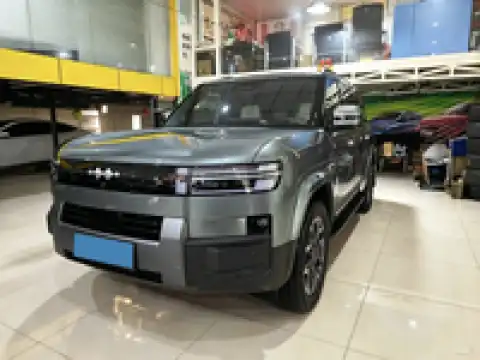 BYD LEOPARD LEOPARD 7
