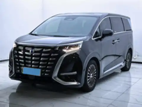 DENZA D9