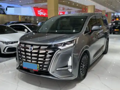 DENZA D9