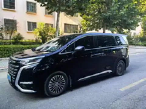 DENZA D9