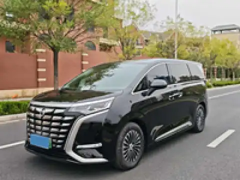 DENZA D9