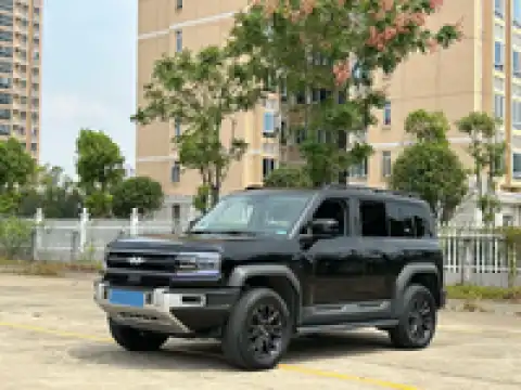 BYD LEOPARD LEOPARD 5