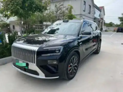 ZEEKR 8X
