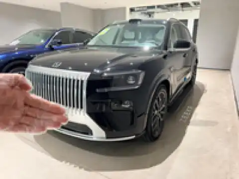 ZEEKR 8X