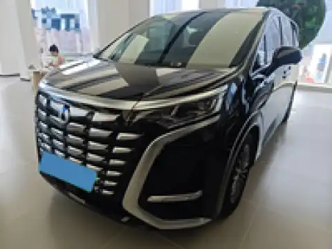 DENZA D9