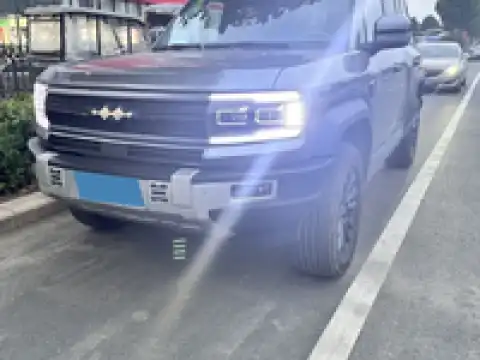 BYD LEOPARD LEOPARD 5
