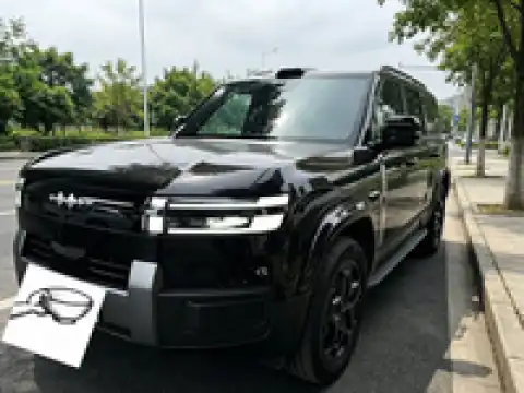 BYD LEOPARD LEOPARD 7