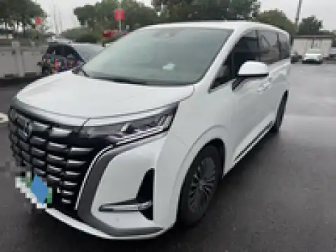 DENZA D9