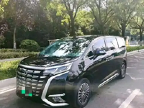 DENZA D9