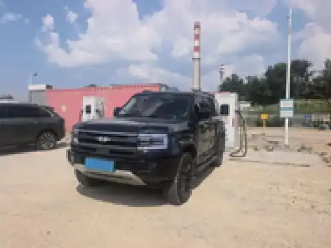 BYD LEOPARD 5