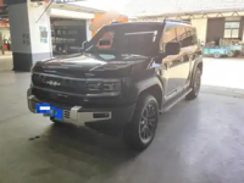 BYD LEOPARD 5