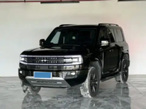 BYD LEOPARD 5