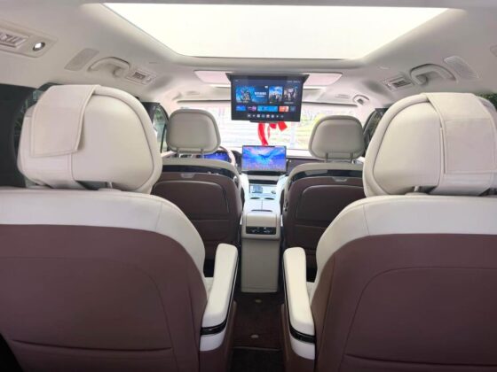 BYD XIA