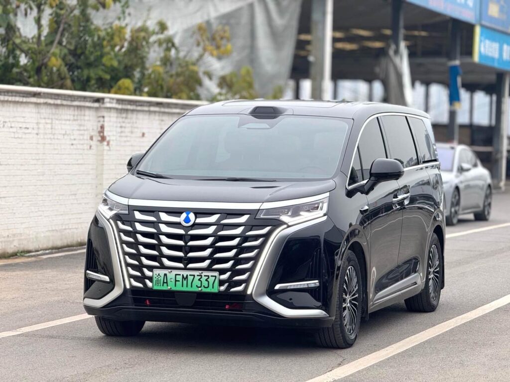 Denza D9