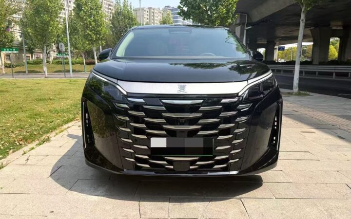 BYD XIA