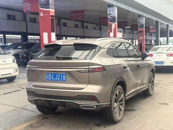 ROEWE RX5