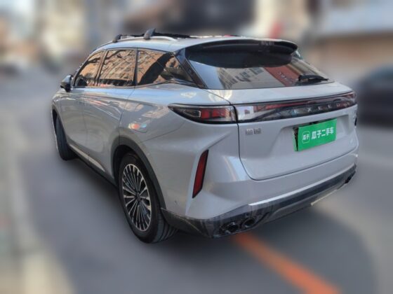 EXEED Yaoguang OMODA 9