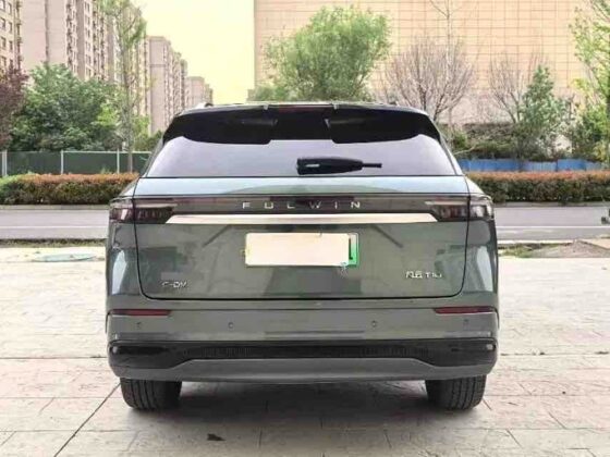 FULWIN T10 PREMIUM