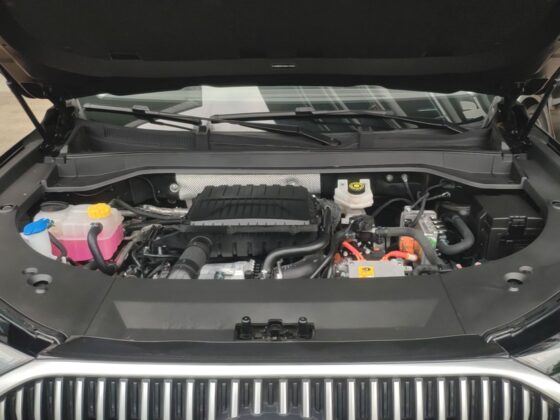 CHERY TIGGO 9