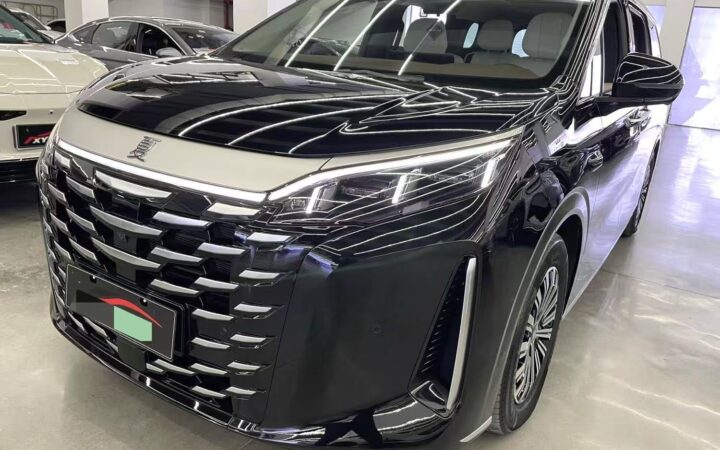 BYD XIA