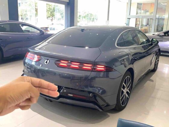 DENZA Z9 MAX