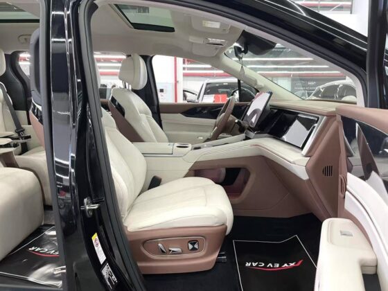 BYD XIA