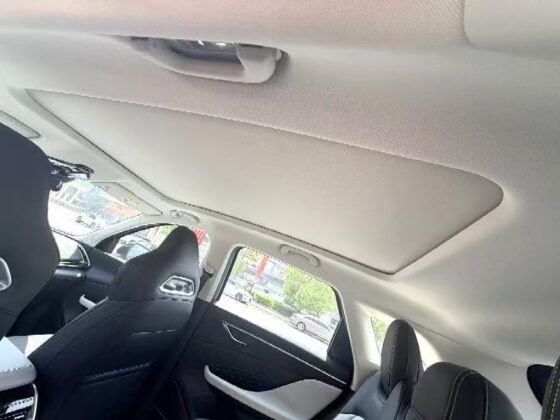 BAIC BEIJING 5