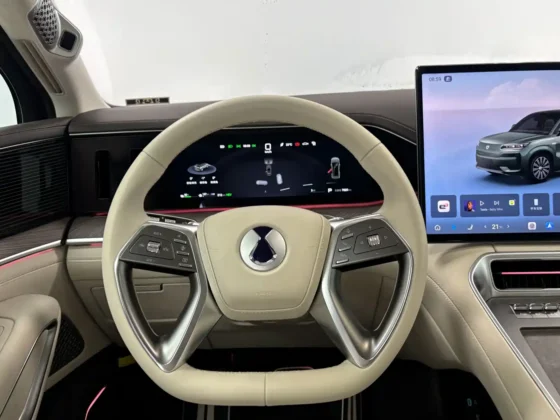 DENZA N9 FLAGSHIP