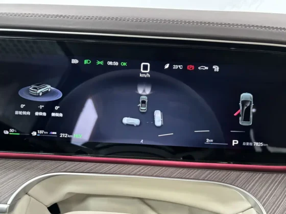 DENZA N9 FLAGSHIP