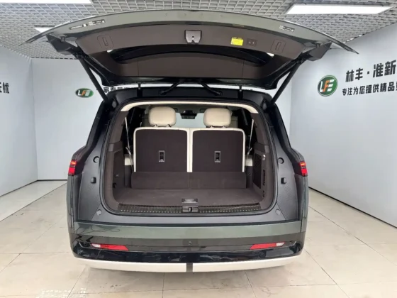 DENZA N9 FLAGSHIP