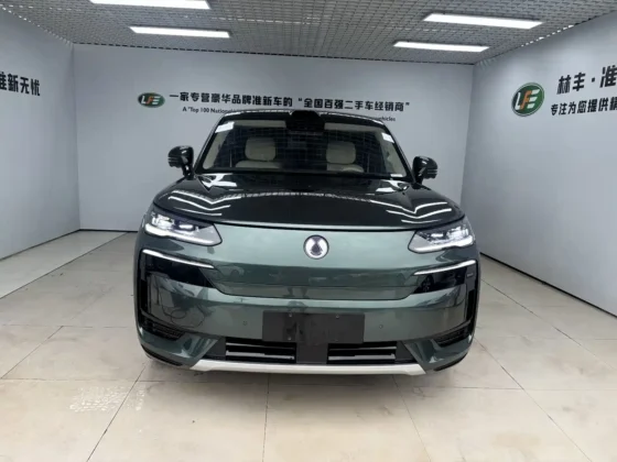 DENZA N9 FLAGSHIP