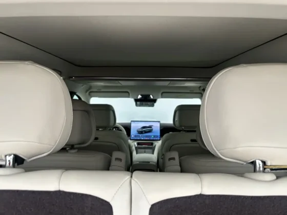 DENZA N9 FLAGSHIP