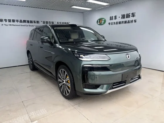 DENZA N9 FLAGSHIP
