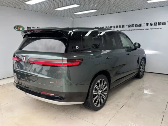 DENZA N9 FLAGSHIP
