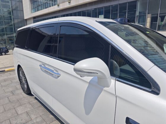 VOYAH DREAM FLAGSHIP AWD