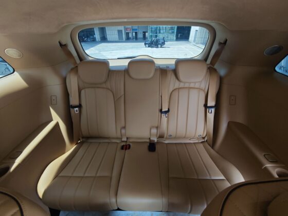 VOYAH DREAM FLAGSHIP AWD
