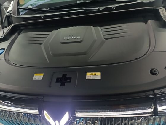 VOYAH DREAM FLAGSHIP AWD